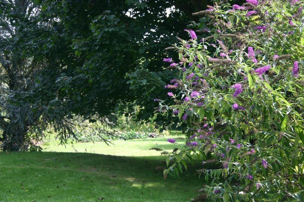 Bois Joli De La Freyere Bed and Breakfast Hindisheim Buitenkant foto